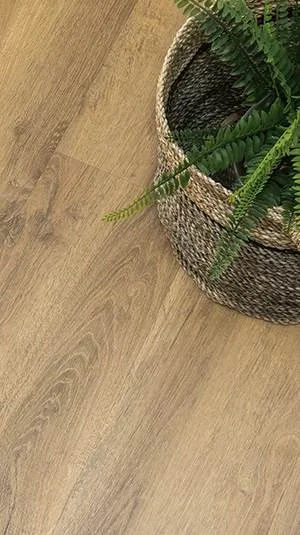 Bodiax_Home_300x535_Hydrocore